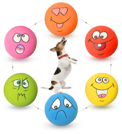 Latex Squeaky 6 Ball Pack Local Pickup and Delivery in Sydney