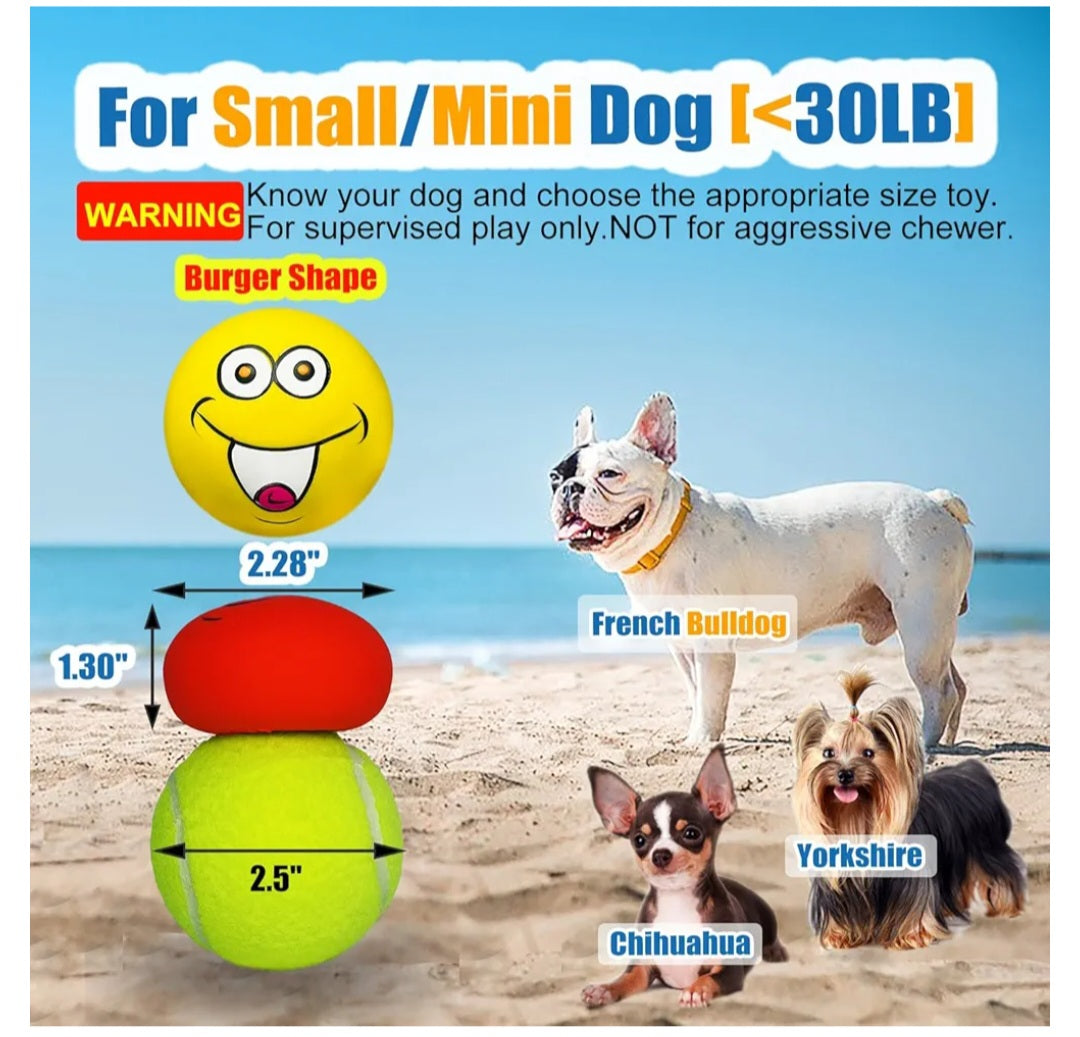 Latex Squeaky 6 Ball Pack Local Pickup and Delivery in Sydney