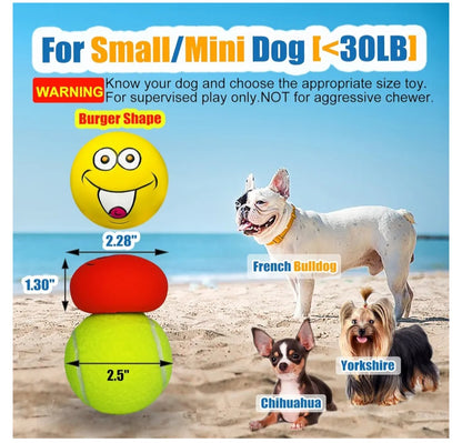 Latex Squeaky 6 Ball Pack Local Pickup and Delivery in Sydney