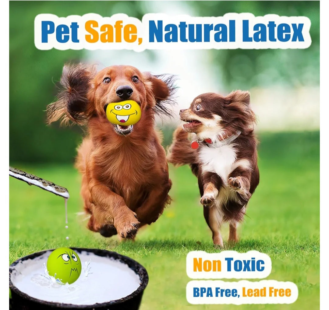 Latex Squeaky 6 Ball Pack Local Pickup and Delivery in Sydney