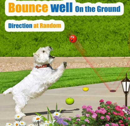 Latex Squeaky 6 Ball Pack Local Pickup and Delivery in Sydney